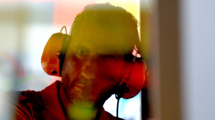 Andrea Stella, il successo della McLaren &egrave; nelle persone