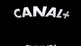 Canal+ touche au but pour devenir un champion des m&eacute;dias en Afrique