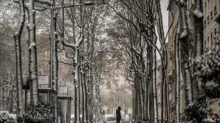 "No&euml;l au balcon, P&acirc;ques au tison": d&eacute;but avril, la France agricole se met en mode combat face au froid