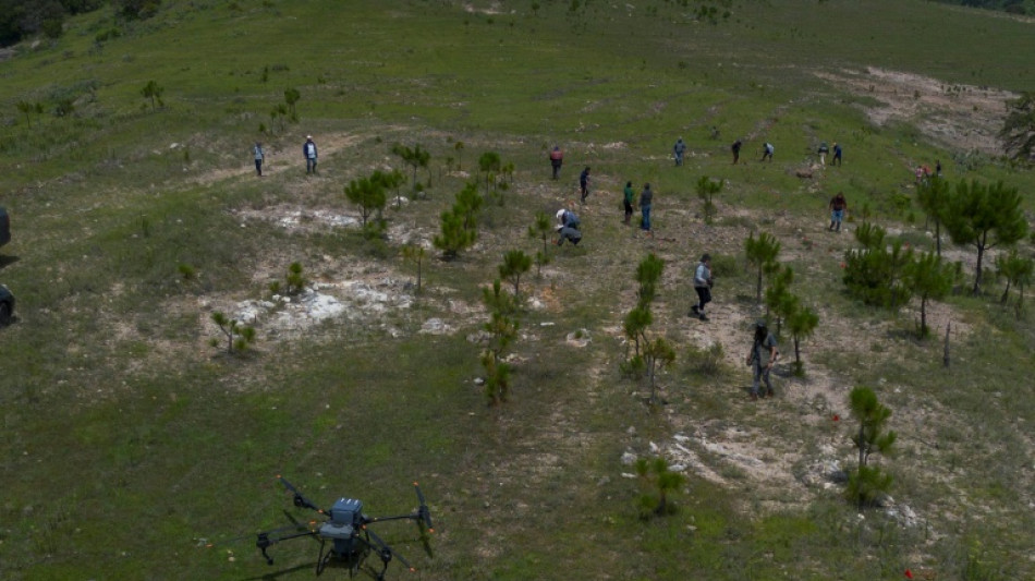 México usa drones para dispersar semillas y reforestar bosques quemados 