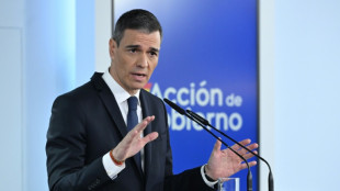 El gobierno espa&ntilde;ol anula una compra de munici&oacute;n israel&iacute; bajo presi&oacute;n de la izquierda radical