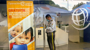 Ilegalizan en Nicaragua varias ONG cr&iacute;ticas con el gobierno de Ortega