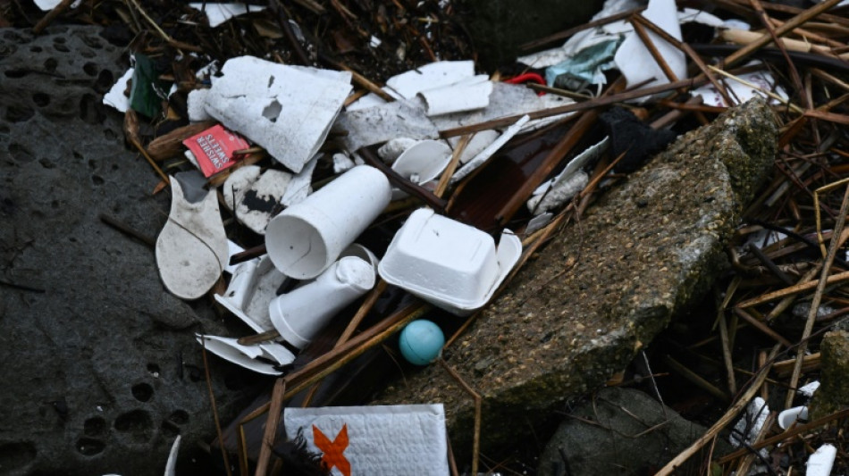 Entwurf f&uuml;r internationales Plastikabkommen soll bis November stehen