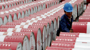 Il petrolio &egrave; in calo a New York a 76,90 dollari al barile