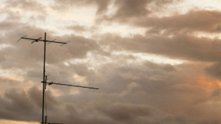 Leo Gassmann pubblica il nuovo singolo 'Yamamai'