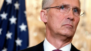 Sweden, Finland to meet Turkey at NATO in new bid for progress