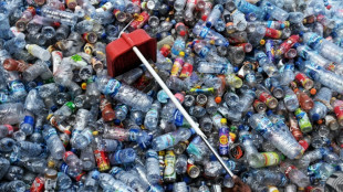175 L&auml;nder beenden in Paris Beratungen &uuml;ber k&uuml;nftiges Abkommen zu Plastikm&uuml;ll