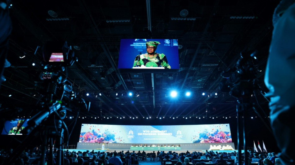 La OMC prev&eacute; una recuperaci&oacute;n del comercio mundial, pero con riesgos de deterioro