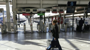 SNCF: Sud-Rail va proposer aux cheminots une gr&egrave;ve reconductible d&egrave;s mardi