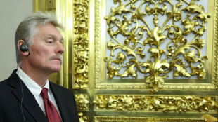 Cremlino, 'la missione di Witkoff e Kushner un piccolo passo verso la pace'