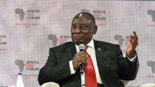 Entretien Trump-Ramaphosa: l'Afrique du Sud appelle Washington &agrave; cesser sa "d&eacute;sinformation" sur la "pers&eacute;cution" des blancs