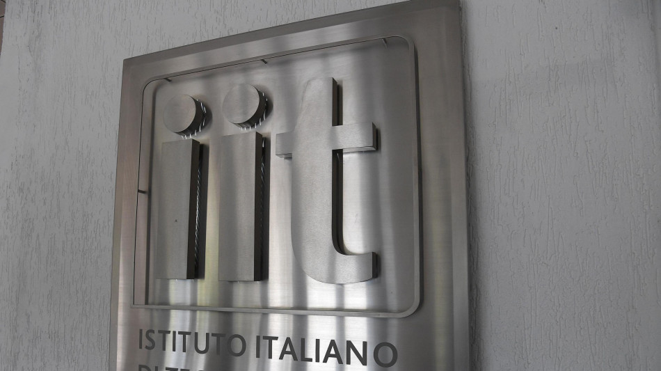 Dalla luce una nuova tecnica per studiare le cellule senza alterarle