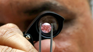 Le diamant, pierre angulaire des relations entre l'Inde et Isra&euml;l