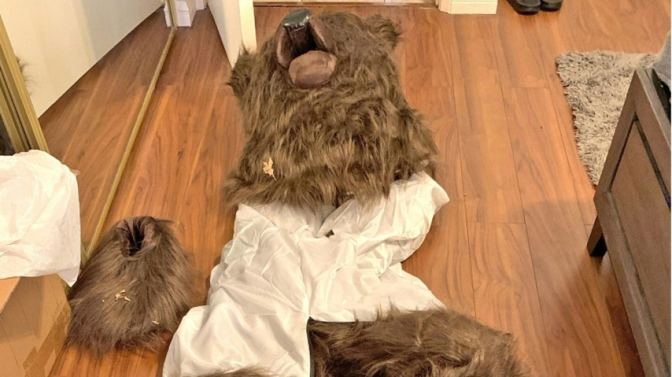 Unos estafadores de seguros se disfrazan de oso para destrozar sus veh&iacute;culos