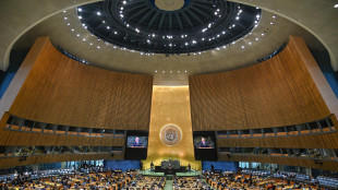 Il presidente siriano parler&agrave; all'Assemblea generale Onu