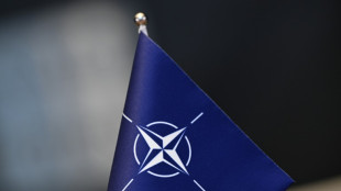 La OTAN desplegar&aacute; buques, aviones y drones en el B&aacute;ltico tras presuntos sabotajes de cables submarinos