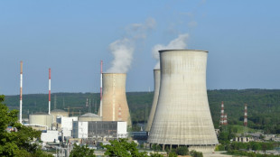 Belgium agrees with France's Engie to extend nuclear reactors