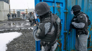 L'Islande, terre de polars, s'inqui&egrave;te d'une s&eacute;rie d'actes violents