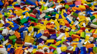 Juntando las piezas: Polic&iacute;a de Los &Aacute;ngeles desarticul&oacute; ladrones de LEGO