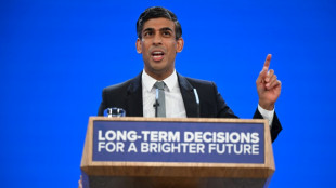 Premi&ecirc; brit&acirc;nico se apresenta como paladino da mudan&ccedil;a em congresso conservador