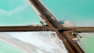 Muita regulamenta&ccedil;&atilde;o e pouco investimento, o paradoxo de uma Europa necessitada de l&iacute;tio... e da Am&eacute;rica Latina