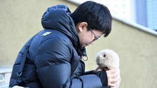 Los j&oacute;venes chinos buscan bienestar emocional en las mascotas con IA