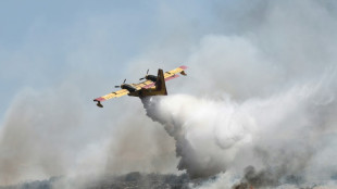 Bomberos "al pie del ca&ntilde;&oacute;n" en Grecia, pese a mejor&iacute;a por incendios