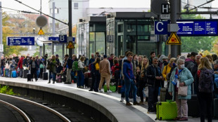 L'Allemagne s'inqui&egrave;te pour ses infrastructures apr&egrave;s un sabotage ferroviaire