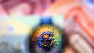 Desmantelada en Francia una red de estafadores con ramificaciones en Espa&ntilde;a