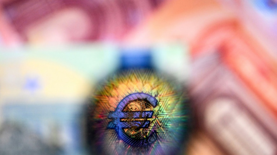 Zone euro: l'activit&eacute; &eacute;conomique poursuit sa l&eacute;g&egrave;re croissance en f&eacute;vrier (PMI Flash)