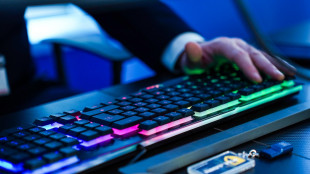 Bankitalia, stabili le frodi su pagamenti, carte pi&ugrave; colpite