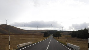 Anev, il decreto sulle rinnovabili &egrave; largamente inadeguato