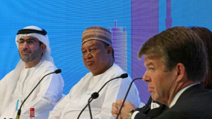 OPEP+ prev&eacute; mantener su estrategia pese a la presi&oacute;n para aumentar la producci&oacute;n de crudo