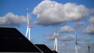 Expertenrat sieht Emissionsbudget für 2030 in Reichweite - danach  wird es schwierig