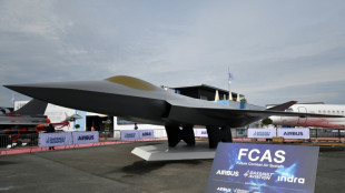 Espa&ntilde;a sigue "plenamente" comprometida con el avi&oacute;n de combate europeo pese a las diferencias entre Francia y Alemania