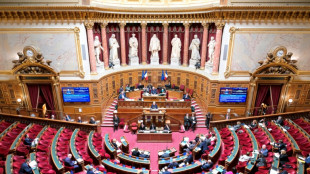 Justice des mineurs: au S&eacute;nat, l'alliance gouvernementale au d&eacute;fi de son unit&eacute; sur un texte d'Attal