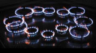 Il gas naturale chiude in rialzo a 36,5 euro al Ttf di Amsterdam