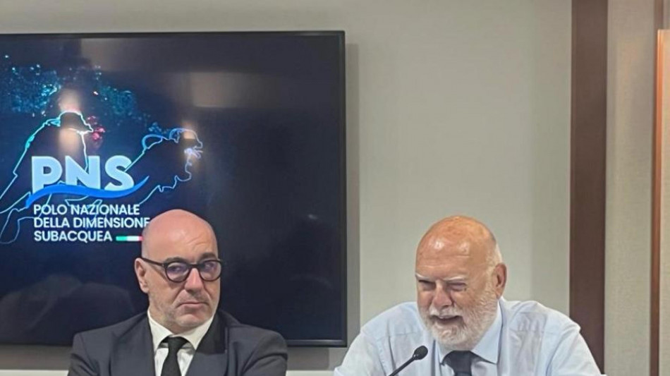 Gozzi, 'decarbonizzazione ex Ilva impossibile in tempi brevi'