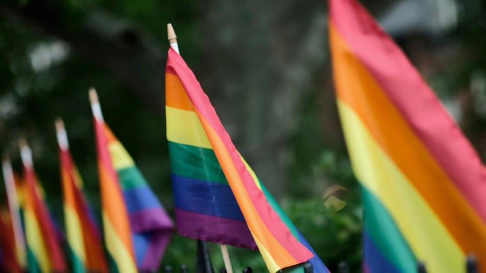 Desfile do Orgulho de Nova York recorre a financiamento coletivo ap&oacute;s desist&ecirc;ncia de empresas