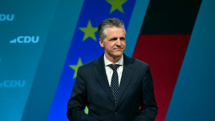 Frei k&uuml;ndigt h&auml;ufigere Koalitionsaussch&uuml;sse an - Nicht erst, "wenn es brennt"