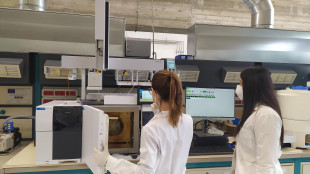 &Egrave; 'Ada Lovelace Day', la giornata delle donne nella scienza