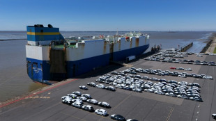 German exports to US tumble as Berlin urges quick trade deal