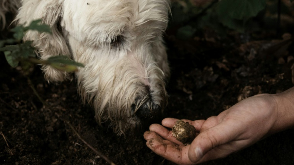El Instituto de estad&iacute;sticas de Italia reduce sus previsiones de crecimiento para 2024