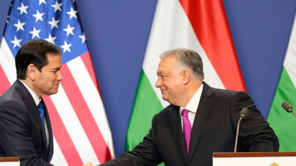 Rubio vor ungarischer Parlamentswahl zu Orban: Ihr Erfolg ist auch unser Erfolg