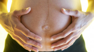 Barmer-Analyse: Viele unbegr&uuml;ndete Ultraschalluntersuchungen bei Schwangeren