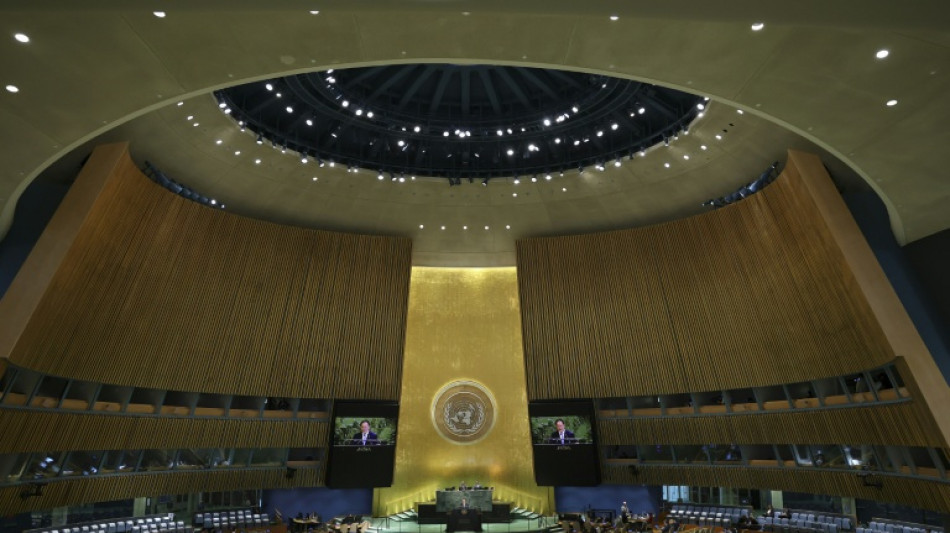 Droits de l'Homme: le travail de l'ONU confront&eacute; &agrave; une "menace existentielle", alerte une ONG