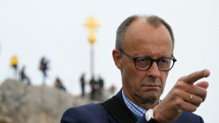 Merz wirft Regierung verspätetes Handeln in Energiekrise vor