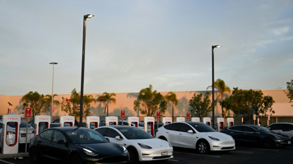 Tesla double ses profits mais pr&eacute;vient que les livraisons restent &agrave; la peine