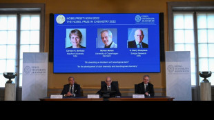 Dos estadounidenses y un dan&eacute;s ganan Premio Nobel de Qu&iacute;mica