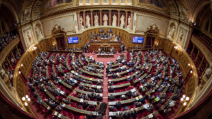 Paquet pouvoir d'achat: longue nuit en perspective au S&eacute;nat pour boucler le second volet